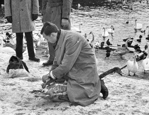 Sten-Ridderlof-marker-pa-lunchrasten-Strombron-Stockholmstidningen-1972